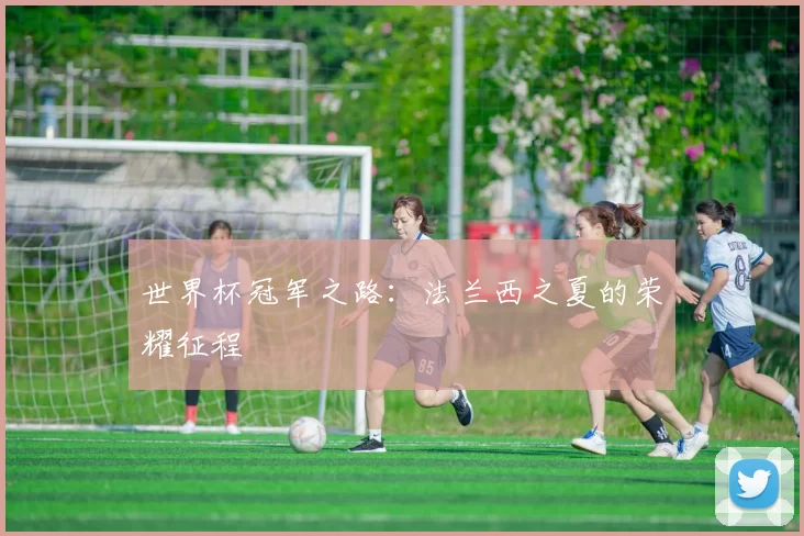 世界杯冠军之路:法兰西之夏的荣耀征程