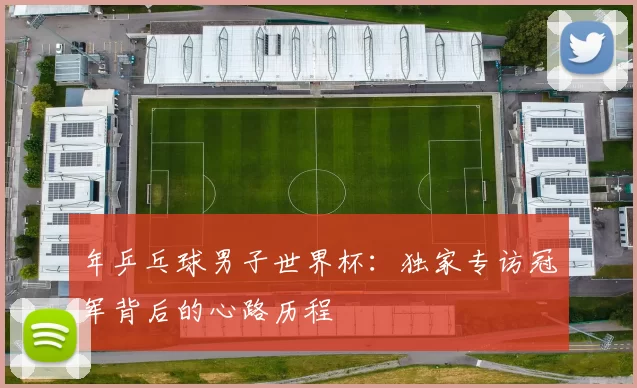 年乒乓球男子世界杯：独家专访冠军背后的心路历程