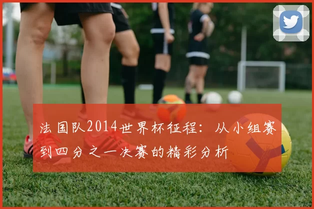 法国队2014世界杯征程：从小组赛到四分之一决赛的精彩分析