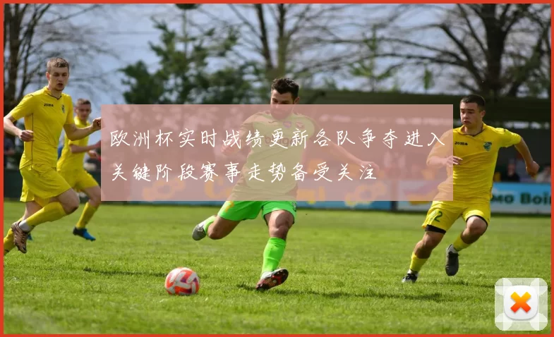 欧洲杯实时战绩更新各队争夺进入关键阶段赛事走势备受关注
