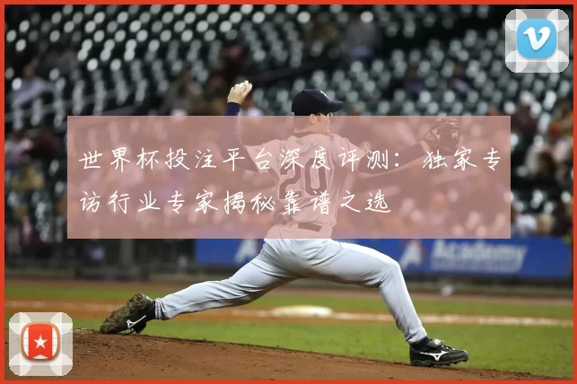 世界杯投注平台深度评测：独家专访行业专家揭秘靠谱之选