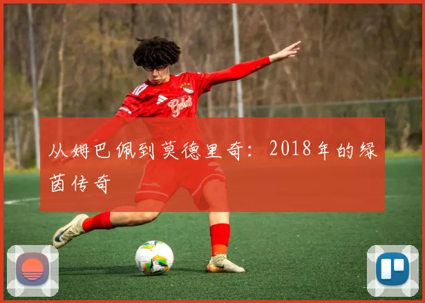 从姆巴佩到莫德里奇:2018年的绿茵传奇