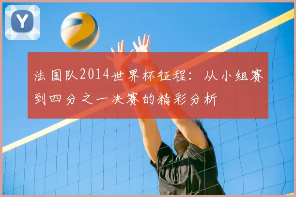 法国队2014世界杯征程:从小组赛到四分之一决赛的精彩分析