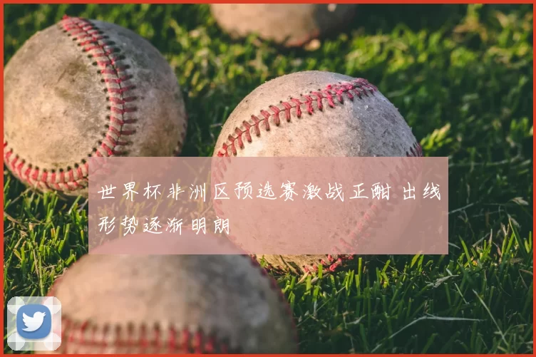 世界杯非洲区预选赛激战正酣 出线形势逐渐明朗