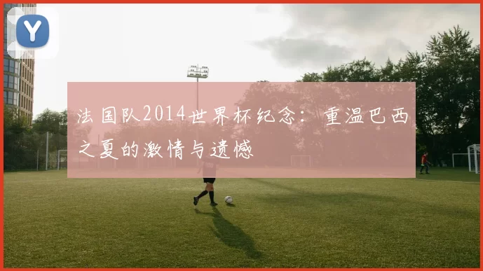 法国队2014世界杯纪念：重温巴西之夏的激情与遗憾