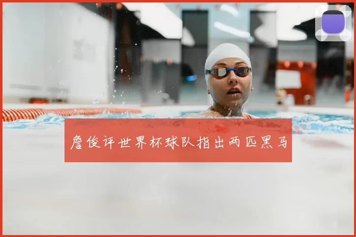 詹俊评世界杯球队指出两匹黑马