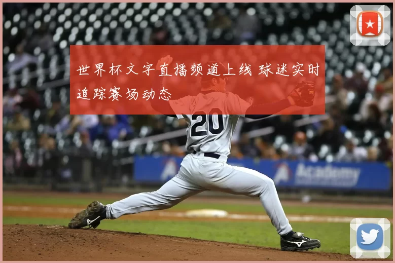 世界杯文字直播频道上线 球迷实时追踪赛场动态
